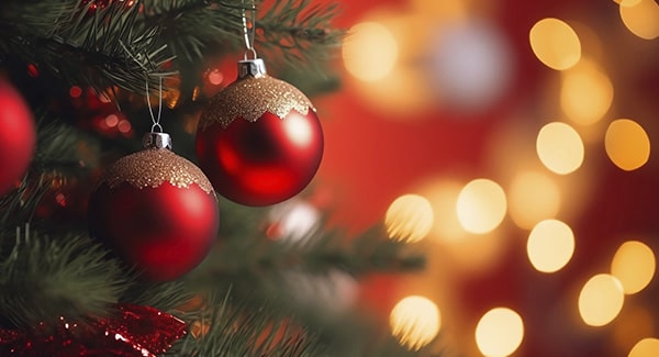 Jugar a la Lotería de Navidad 2025